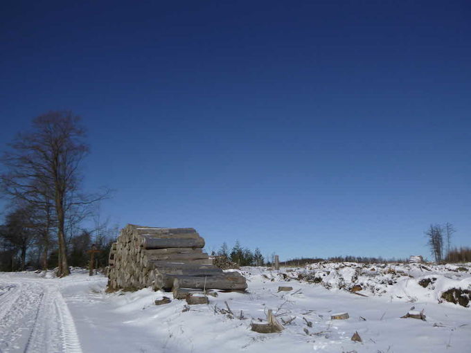 Winterwanderung(en)