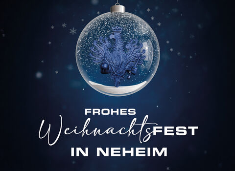 Frohe Weihnachten und ein frohes neues Jahr!