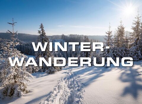 Winterwanderung