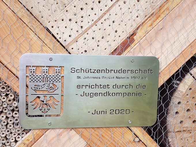 Insekten