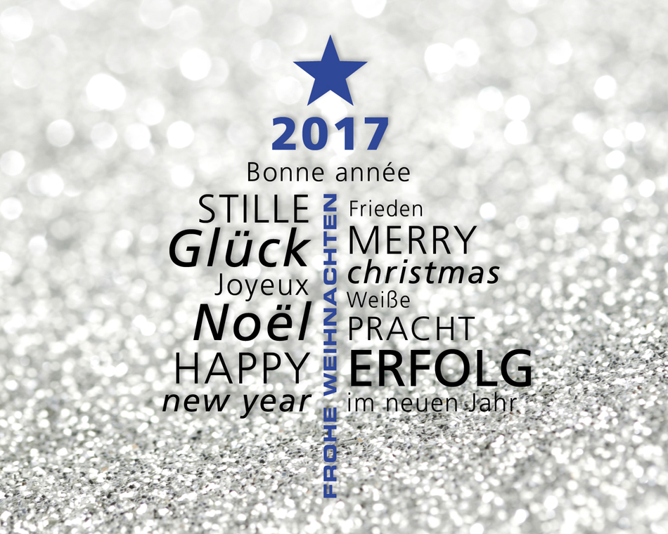 Frohe Weihnachten und ein frohes neues Jahr!